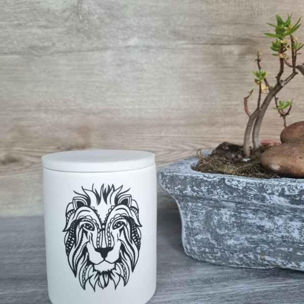 Animal Candles