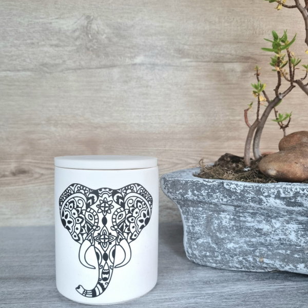 Animal Candles