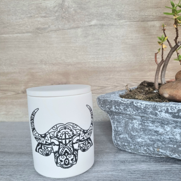 Animal Candles